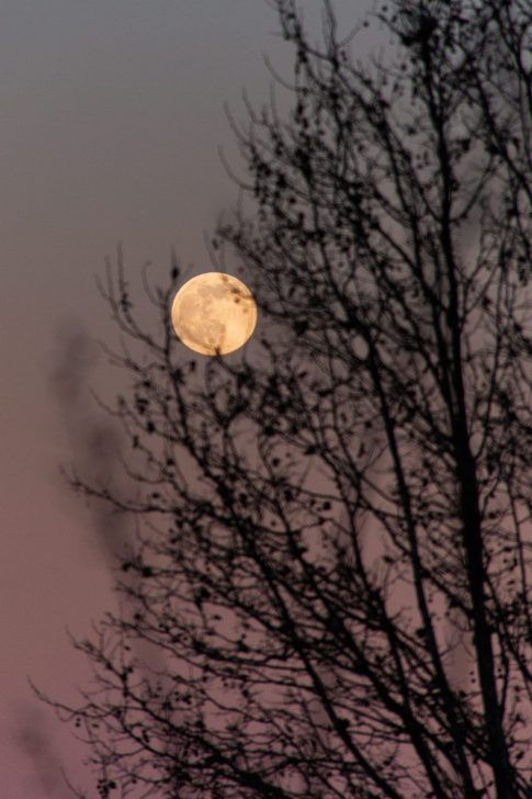 Pleine Lune de Janvier, 2022, Provence