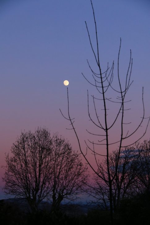Chandelier de Pleine Lune, Décembre 2020, Provence