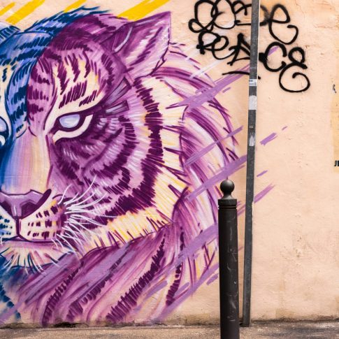 Un tigre dans le Panier, Marseille, Avril 2023