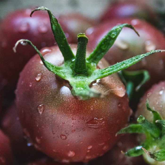 Tomates Cerises - Jardins de Paradis - Juin 2022