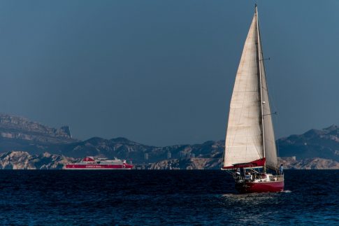 Les coques rouges, Côte Bleue, Marseille, Février 2022