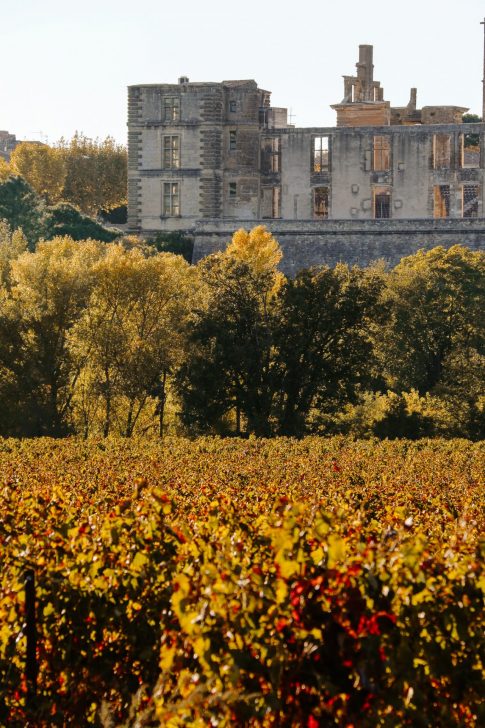La saison dorée, Chateau de la Tour D'Aigues, Octobre 2020
