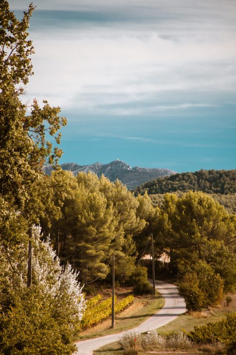 This is the way. Sainte Victoire, Octobre 2022