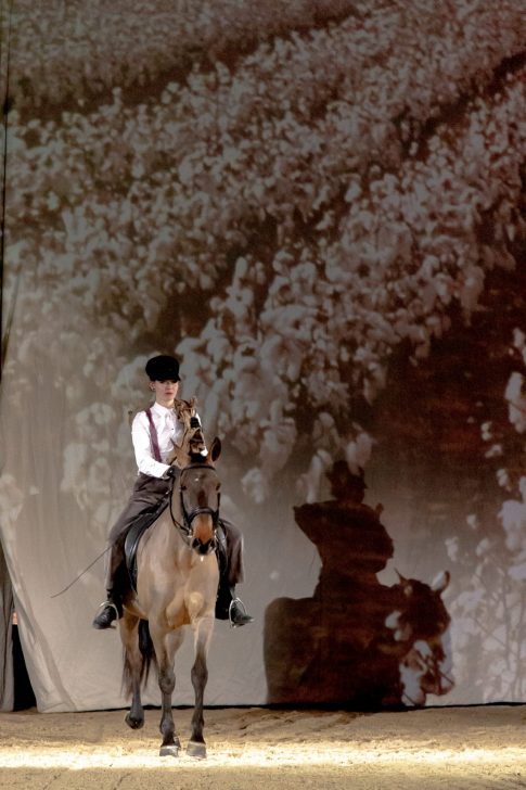 Michel Cassan et la Compagnie Le Sacre du Cheval, Gala des Crinières d'Or, Cheval Passion 2023, Avignon