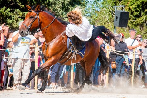 Les Voltigeurs Equestres de France, Pertuis Equestre, Pertuis, Septembre 2022